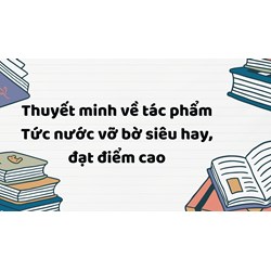 Thuyết minh về tác phẩm Tức nước vỡ bờ siêu hay, đạt điểm cao