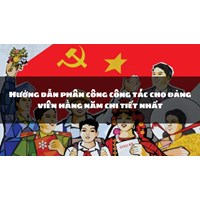 Hướng dẫn phân công công tác cho đảng viên hằng năm chi tiết nhất