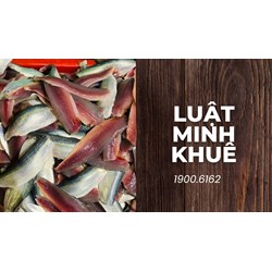 Cá trích nấu gì ngon? Những món ngon từ cá trích thơm ngon dễ làm