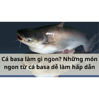 Cá basa làm gì ngon? Những món ngon từ cá basa dễ làm hấp dẫn