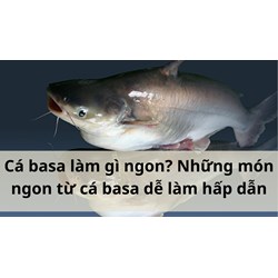 Cá basa làm gì ngon? Những món ngon từ cá basa dễ làm hấp dẫn