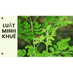 Cho trẻ ăn rau chùm ngây như thế nào cho đúng?