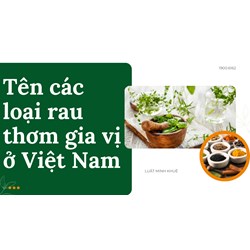 Tên các loại rau thơm gia vị ở Việt Nam