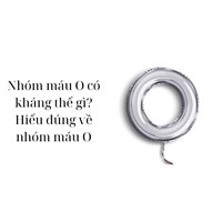 Nhóm máu O có kháng thể gì? Hiểu đúng về nhóm máu O