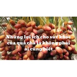 Những lợi ích cho sức khỏe của quả chà là không phải ai cũng biết