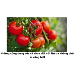 Những công dụng của cà chua đối với làn da không phải ai cũng biết
