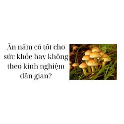 Ăn nấm có tốt cho sức khỏe hay không theo kinh nghiệm dân gian?