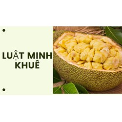 Tiểu đường thai kỳ có được ăn mít hay không?