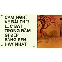 Cảm nghĩ về bài thơ lục bát Trong đầm gì đẹp bằng sen hay nhất