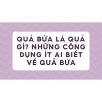 Quả bứa là quả gì? Những công dụng ít ai biết về quả bứa