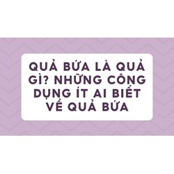 Quả bứa là quả gì? Những công dụng ít ai biết về quả bứa