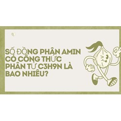 Số đồng phân amin có công thức phân tử C3H9N là bao nhiêu?
