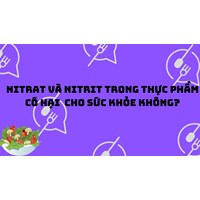 Nitrat và Nitrit trong thực phẩm có hại  cho sức khỏe không?