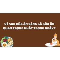 Vì sao bữa ăn sáng là bữa ăn quan trọng nhất trong ngày?
