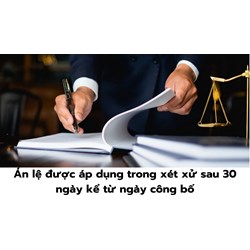 Án lệ được áp dụng trong xét xử sau 30 ngày kể từ ngày công bố