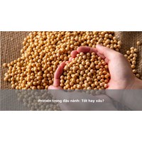 Protein trong đậu nành: Tốt hay xấu?