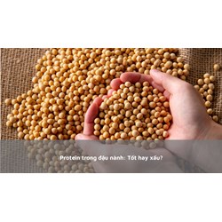 Protein trong đậu nành: Tốt hay xấu?