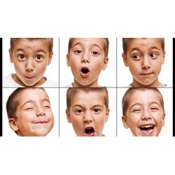 Tại sao bạn không kiểm soát được cảm xúc?