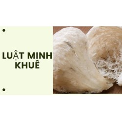 Các cách phân biệt yến thật và yến giả đơn giản, chính xác nhất
