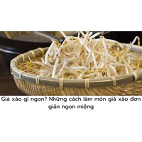 Giá xào gì ngon? Những cách làm món giá xào đơn giản ngon miệng