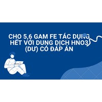 Cho 5,6 gam Fe tác dụng hết với dung dịch HNO3 (dư) có đáp án