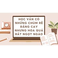 Học vấn có những chùm rễ đắng cay nhưng hoa quả rất ngọt ngào