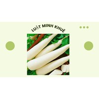 Ăn củ cải trắng có tốt không theo như kinh nghiệm dân gian?