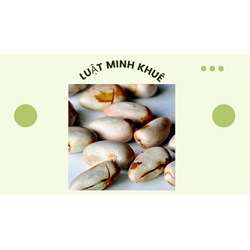 Ăn hạt mít có độc hay không theo như kinh nghiệm dân gian?