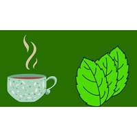 Tổng hợp các lợi ích của trà bạc hà