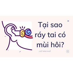 Tại sao ráy tai có mùi hôi?