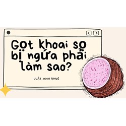 Gọt khoai sọ bị ngứa phải làm sao?