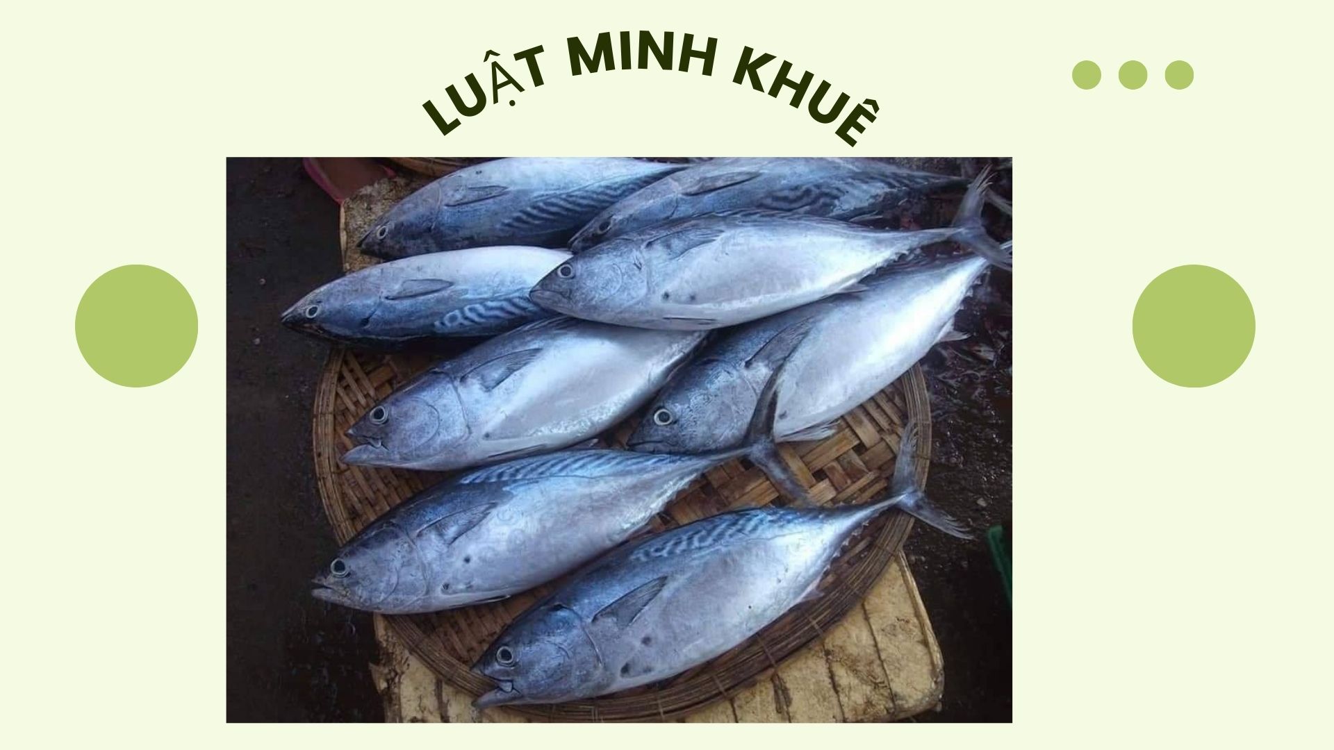 Cá thu là cá gì? Những món ngon từ cá thu cho cả nhà