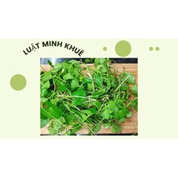 Ăn rau má nhiều có tốt hay không theo kinh nghiệm dân gian?