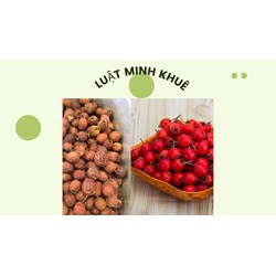Những lợi ích sức khỏe ấn tượng của quả sơn trà (táo gai)