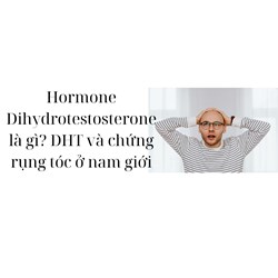 Hormone Dihydrotestosterone là gì? DHT và chứng rụng tóc ở nam giới