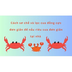 Cách sơ chế và lọc cua đồng cực đơn giản để nấu riêu cua đơn giản tại nhà