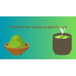 Phân biệt bột matcha và bột trà xanh