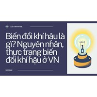 Biến đổi khí hậu là gì? Nguyên nhân, thực trạng biến đổi khí hậu ở VN