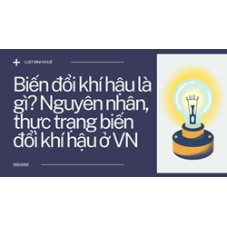 Biến đổi khí hậu là gì? Nguyên nhân, thực trạng biến đổi khí hậu ở VN