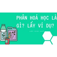 Phân hoá học là gì? Lấy ví dụ?