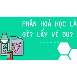 Phân hoá học là gì? Lấy ví dụ?