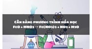 Cân bằng phương trình hóa học FeO + HNO3 → Fe(NO3)3 + NO2 + H2O