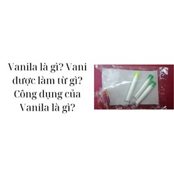 Vanila là gì? Vani được làm từ gì? Công dụng của Vanila là gì?