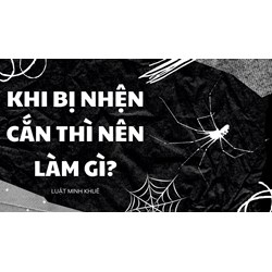 Khi bị nhện cắn thì nên làm gì?