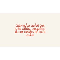 Cách bảo quản cua biển sống, cua đồng và cua hoàng đế đơn giản