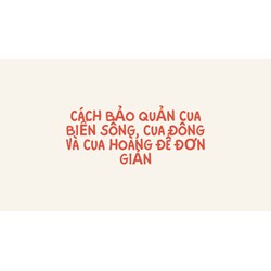 Cách bảo quản cua biển sống, cua đồng và cua hoàng đế đơn giản
