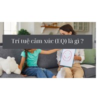 Trí tuệ cảm xúc (EQ) là gì ?