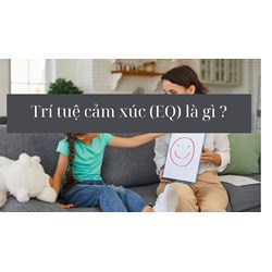 Trí tuệ cảm xúc (EQ) là gì ?