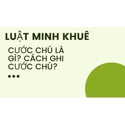 Cước chú là gì? Cách ghi cước chú?