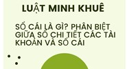 Sổ cái là gì? Phân biệt giữa sổ chi tiết các tài khoản và sổ cái